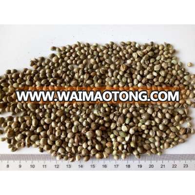 natural whole Hemp Seeds, Raw, bird food